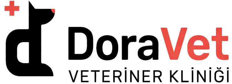 doravet-e1767403759969-removebg-preview